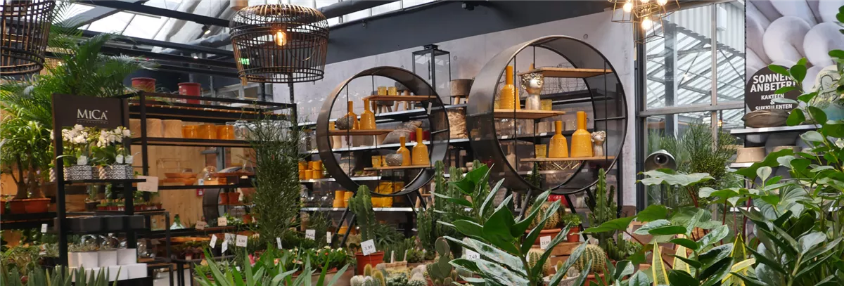 Oldenburger Wohngarten - Oldenburger Wohngarten - Dein Wohlfhlgartenmarkt