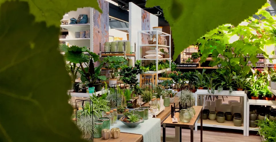 WAS WIR BIETEN - DAS GIBT'S NUR BEI UNS!