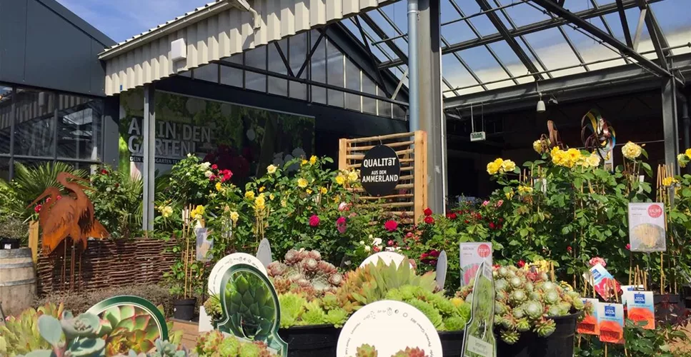 UNSER SORTIMENT - VIELFALT, DIE BEGEISTERT