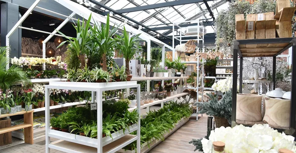 IMMER FRISCHES GRÜN - FüR BUSINESS & GASTRO