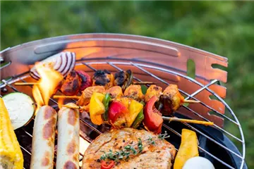 DIE GRILLSAISON IST ERöFFNET!