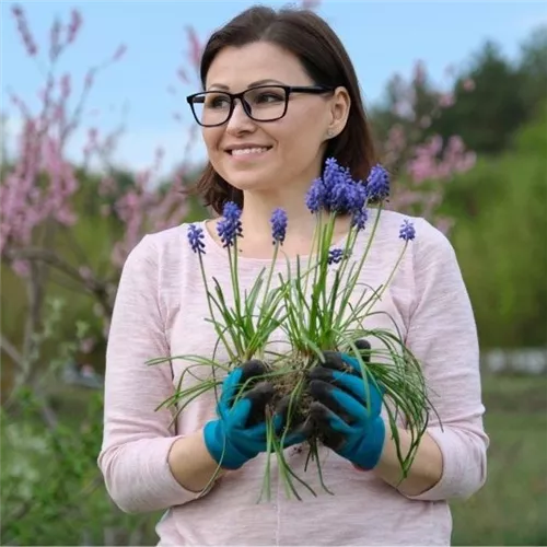 Workshop 'Moderne Pflanzarbeit mit Perlhyazinthen' im Oldenburger Wohngarten in Etzhorn