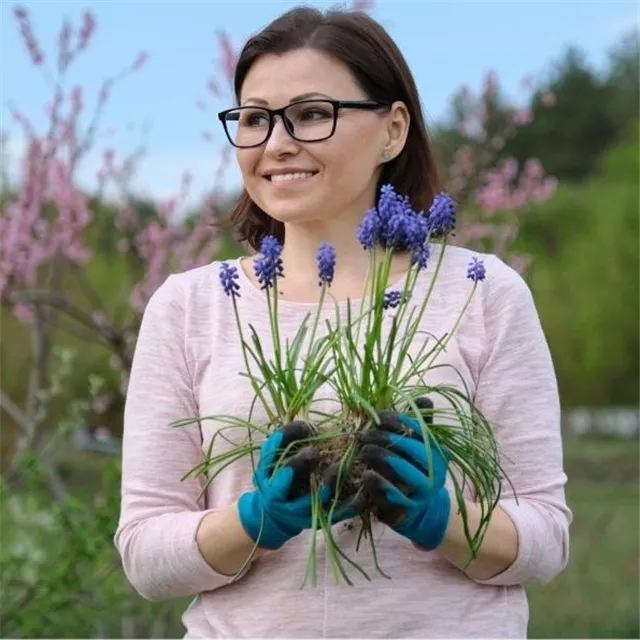 Workshop 'Moderne Pflanzarbeit mit Perlhyazinthen' im Oldenburger Wohngarten in Etzhorn