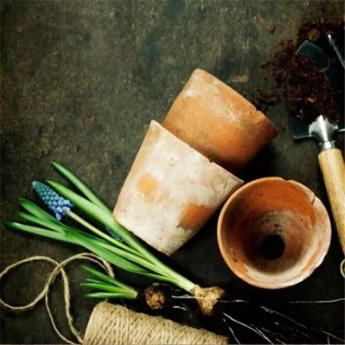 Workshop 'Moderne Pflanzarbeit mit Perlhyazinthen' im Oldenburger Wohngarten in Etzhorn