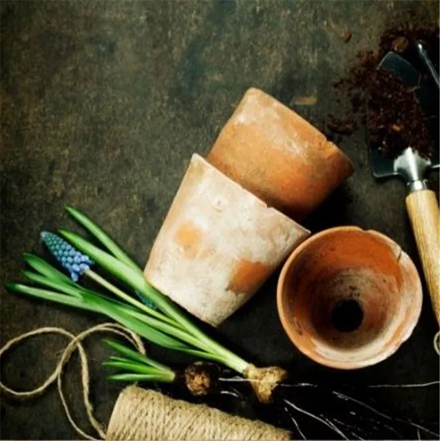 Workshop 'Moderne Pflanzarbeit mit Perlhyazinthen' im Oldenburger Wohngarten in Etzhorn
