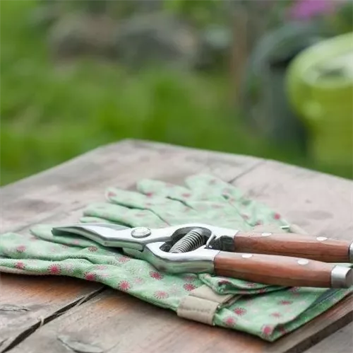 Workshop 'Moderne Pflanzarbeit mit Perlhyazinthen' im Oldenburger Wohngarten in Etzhorn
