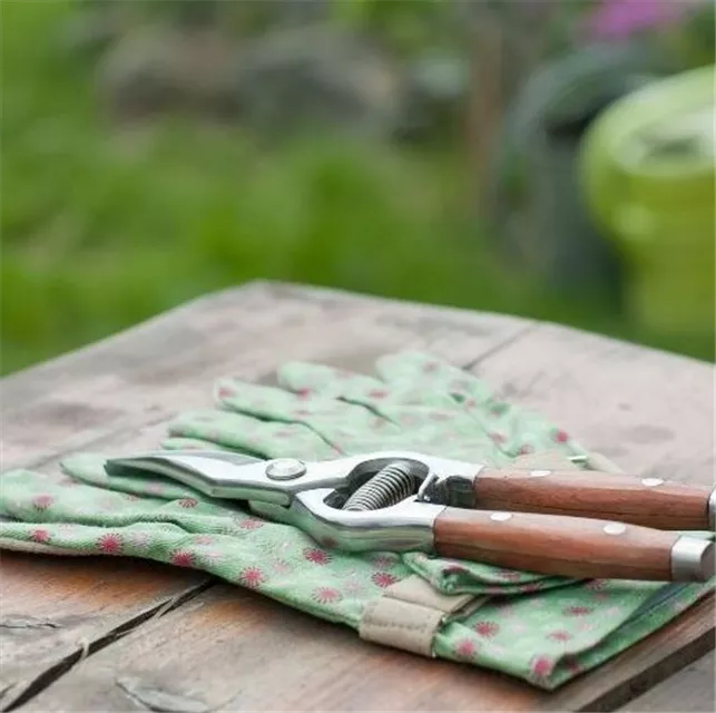 Workshop 'Moderne Pflanzarbeit mit Perlhyazinthen' im Oldenburger Wohngarten in Etzhorn