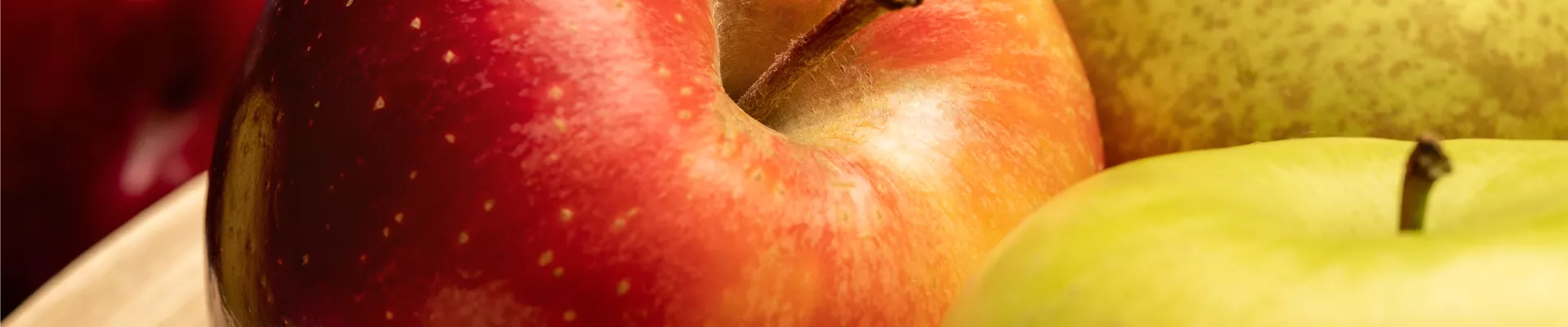 Kern- und Steinobst im eigenen Garten für kleine und große Naschkatzen