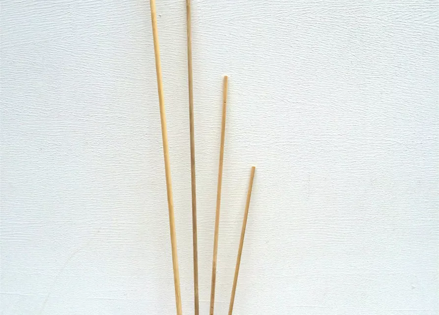 Tonkin Stäbe aus Holzsplitt
