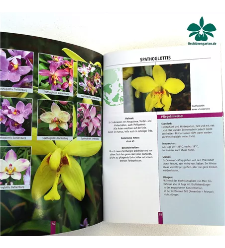 Orchideenfibel