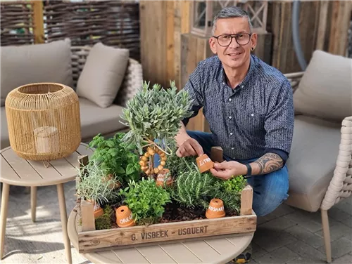 Workshop Nr.1 'LIVING IN A BOX' - Leckere Kräuter für die gesunde Küche