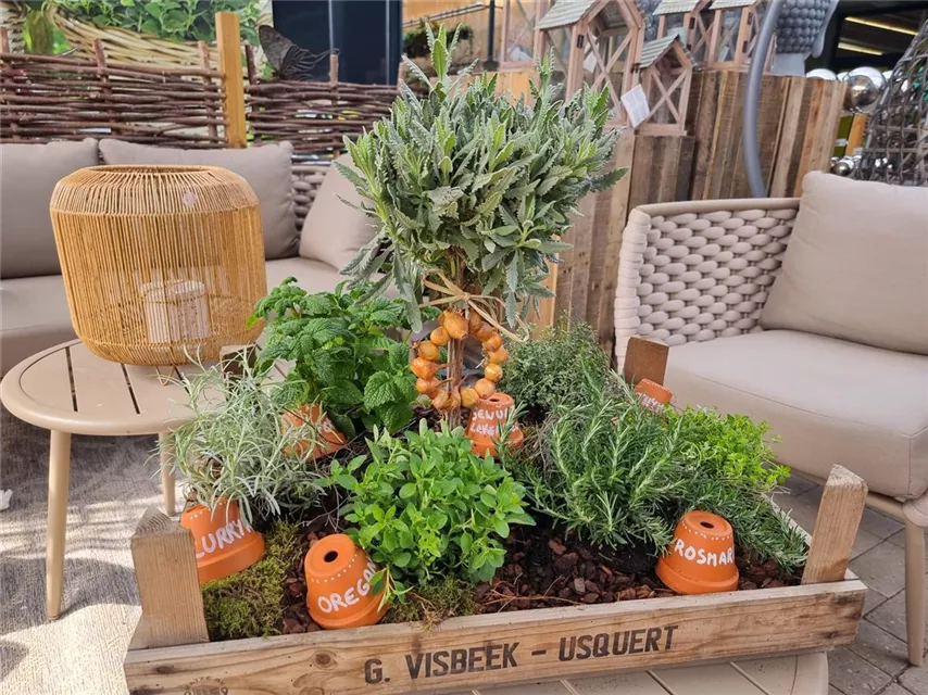 Workshop Nr.1 'LIVING IN A BOX' - Leckere Kräuter für die gesunde Küche