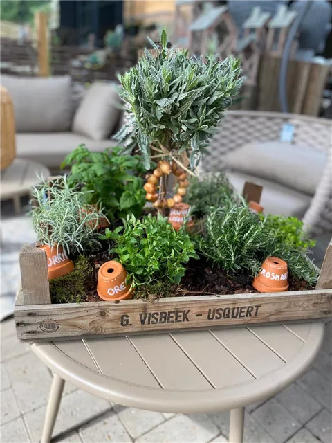 Workshop Nr.1 'LIVING IN A BOX' - Leckere Kräuter für die gesunde Küche