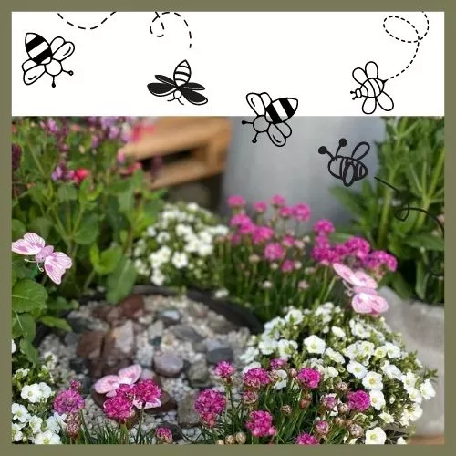 Workshop Nr.1 HOT SUMMER: Bepflanzte Insektentränke für Balkon oder Terrasse.