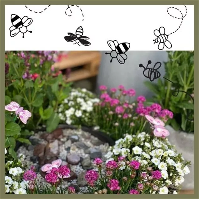 Workshop Nr.2 HOT SUMMER: Bepflanzte Insektentränke für Balkon oder Terrasse.