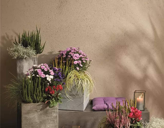 EIN KUNTERBUNTER HERBST!