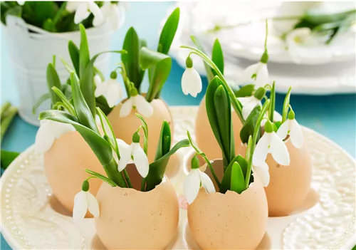 DIY-Workshop 4 'EI-Catcher mit Frühlingsblühern'