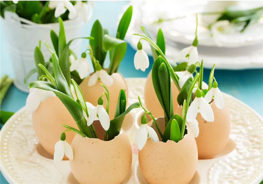 DIY-Workshop 4 'EI-Catcher mit Frühlingsblühern'