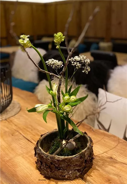 DIY-Workshop 2 'Mega-Trend: Modern Ikebana'