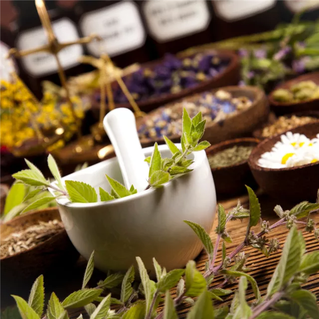 Treffpunkt Gartenwissen: Kräutergenuss – lecker und dekorativ