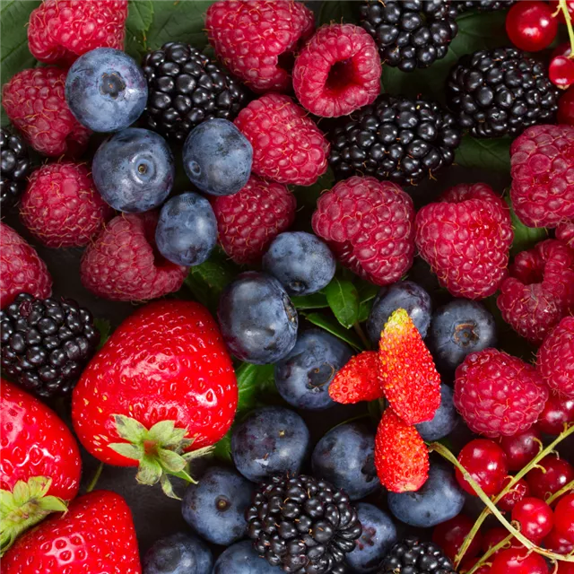 Treffpunkt Gartenwissen: Obstanbau im Herbst