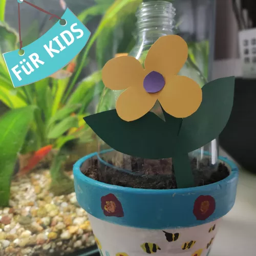 DIY Minigewächshaus basteln