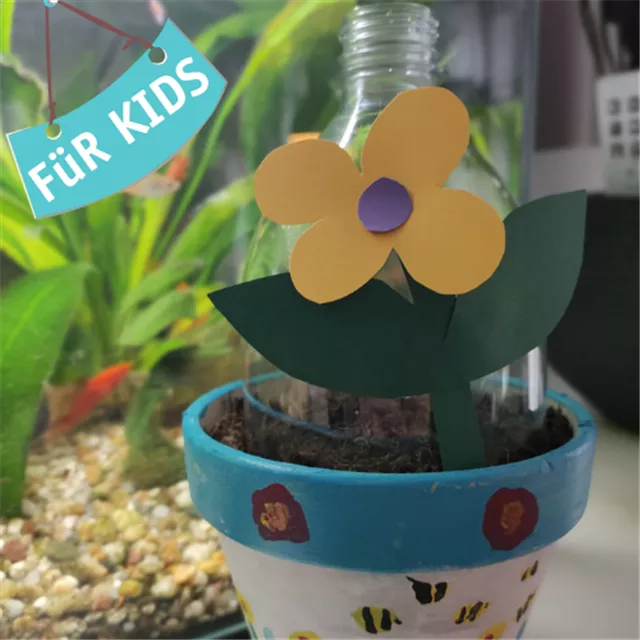 DIY Minigewächshaus basteln