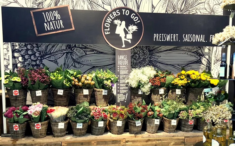 DEINE KREATIVE OASE - FLOWERWALL