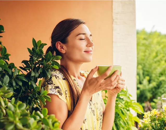 EINFACHER GEHT'S KAUM!
