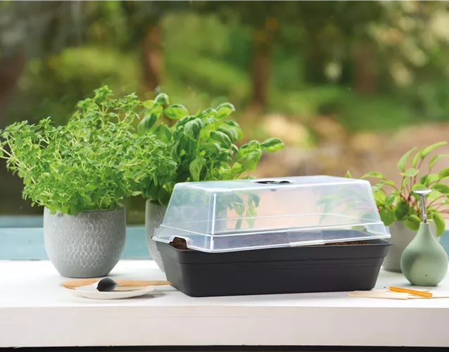 PLATZ DA AUF DER FENSTERBANK!