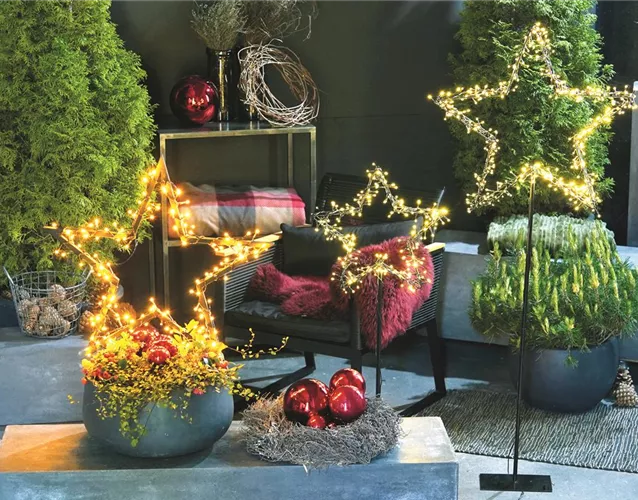 LICHTBLICKE IM WINTER-GARTEN!