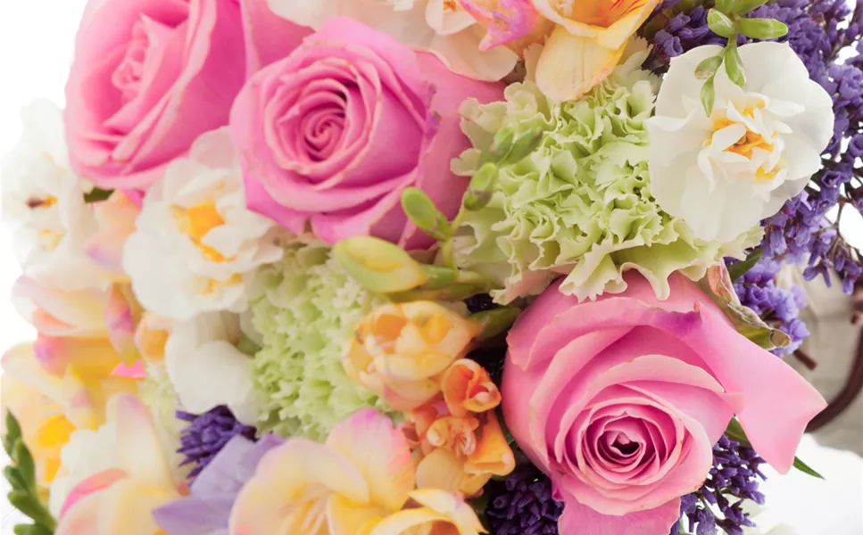 PFLÜCK DIR DEINE BLUMEN: - FLOWERS TO GO!