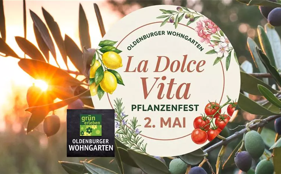 2. MAI | 10 - 17 UHR