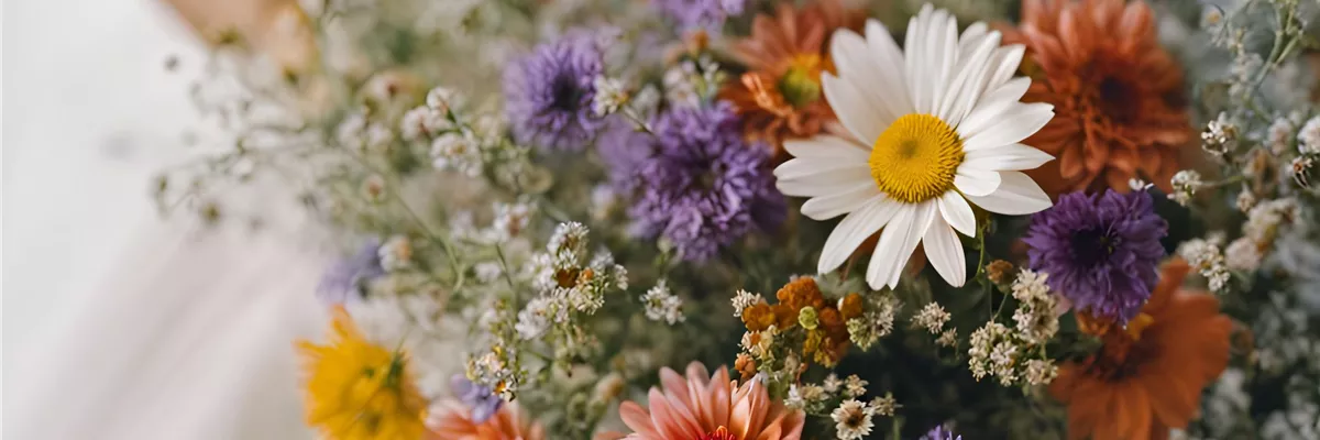 LöSCHAU - BLUMEN SEIT 1918