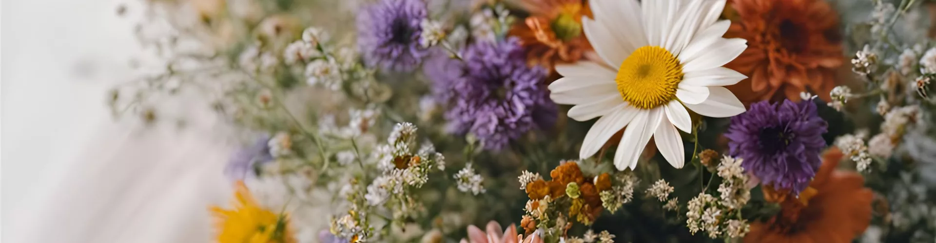 LöSCHAU - BLUMEN SEIT 1918