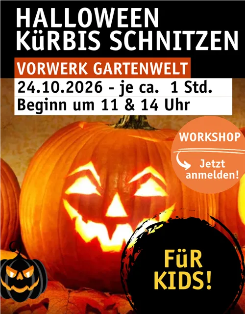 HALLOWEEN KüRBIS SCHNITZEN FÜR KIDS AM 24.10.26